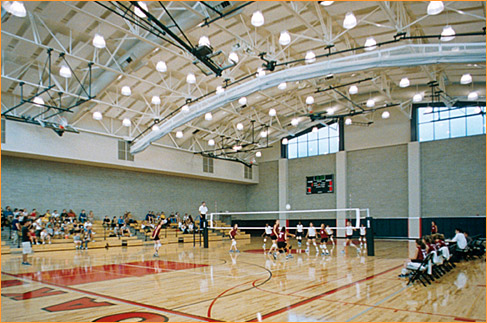 Gymnasium, home to the Gorillas